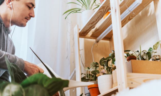 Tener plantas ayuda a nuestra salud y bienestar emocional