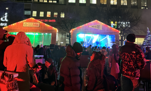 Festival Noël dans le Parc