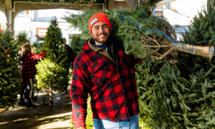 Dónde comprar tu árbol navideño en Montréal