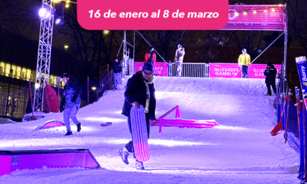 Glissades Gamelin, pistas de snowskate en Montréal