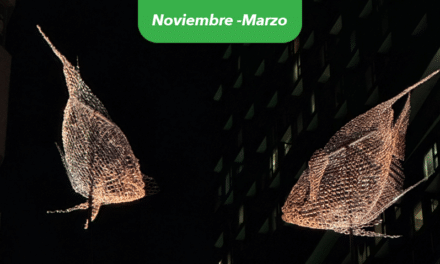 Descubre los sitios iluminados en Montréal este invierno