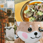 La Semaine Japon, celebra la gastronomía y cultura de la tierra del sol naciente