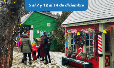 Mercado Navideño en Laval