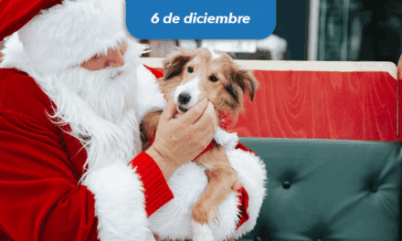 La rue Notre-Dame à Lachine vive la navidad