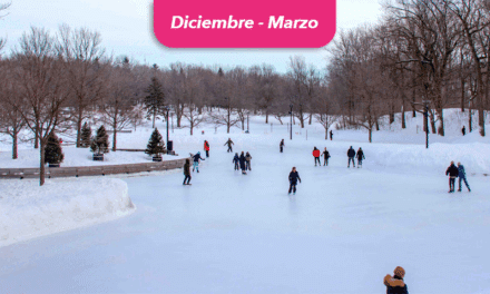 Parc Mont-Royal, patina, deslízate y disfruta del invierno