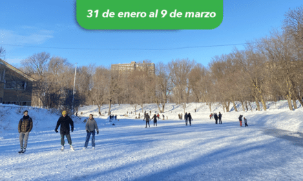 Parc La Fontaine y su emblemática pista de hielo