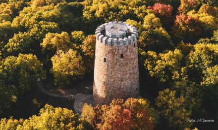 Descubre la Torre Lévis, joya histórica del Parc Jean-Drapeau