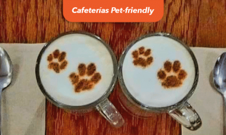 Descubre ocho cafeterías para convivir con gatos o perros en Montréal